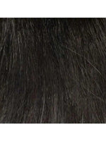CELESTE | Large Cap | Monofilament Top | Synthetic Wig | Envy | Alan Eaton - Buy Wigs USA