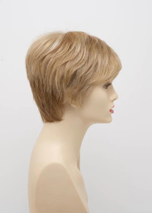 DESTINY | Human Synthetic Wig | Blended Hair | Mono Top | Lace Front | Hand-tied | Envy | Alan Eaton - Buy Wigs USA