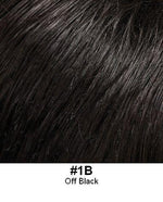 STYLE# 600-S Wig, capless base, mono top, illusion front hairline; futura fiber hair, pre-styled, $378.00 - Buy Wigs USA