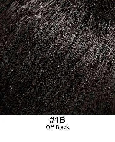 HAIR SWITCH AT 18″ length with Barrette Addition by Look of Love - Buy Wigs USA