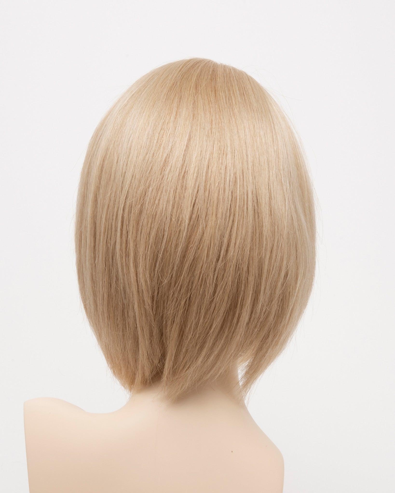 Amelia | 100% Human Hair Wig | Monofilament Top Lace Front Hand Tied | Envy | Alan Eaton - Buy Wigs USA