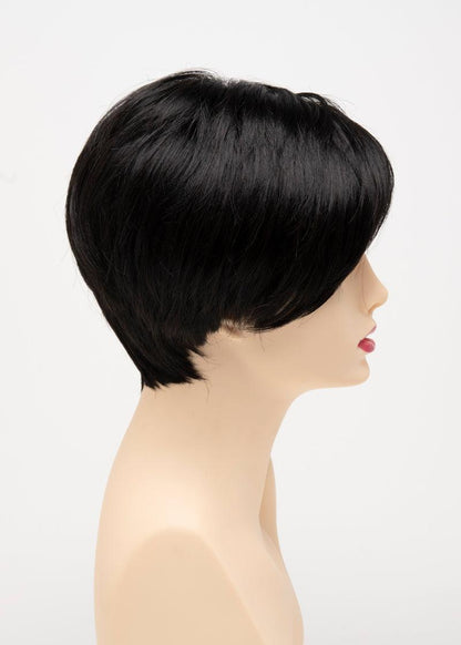 AMY | Lace Front Monofilament Part Synthetic Wig | Envy Alan Eaton - Buy Wigs USA