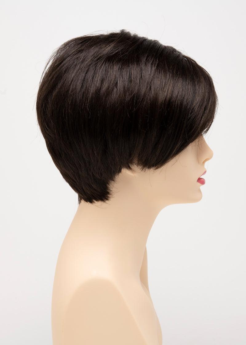 AMY | Lace Front Monofilament Part Synthetic Wig | Envy Alan Eaton - Buy Wigs USA