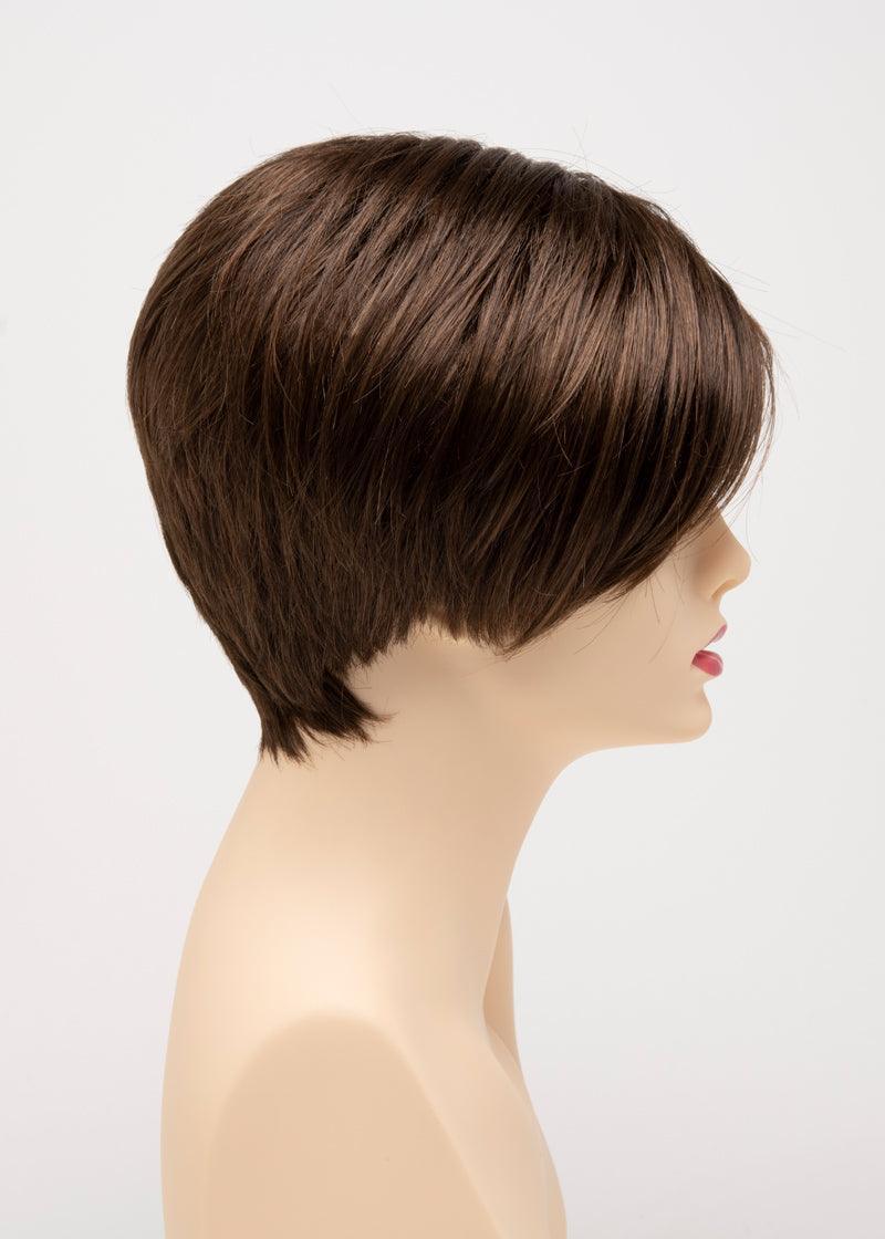 AMY | Lace Front Monofilament Part Synthetic Wig | Envy Alan Eaton - Buy Wigs USA