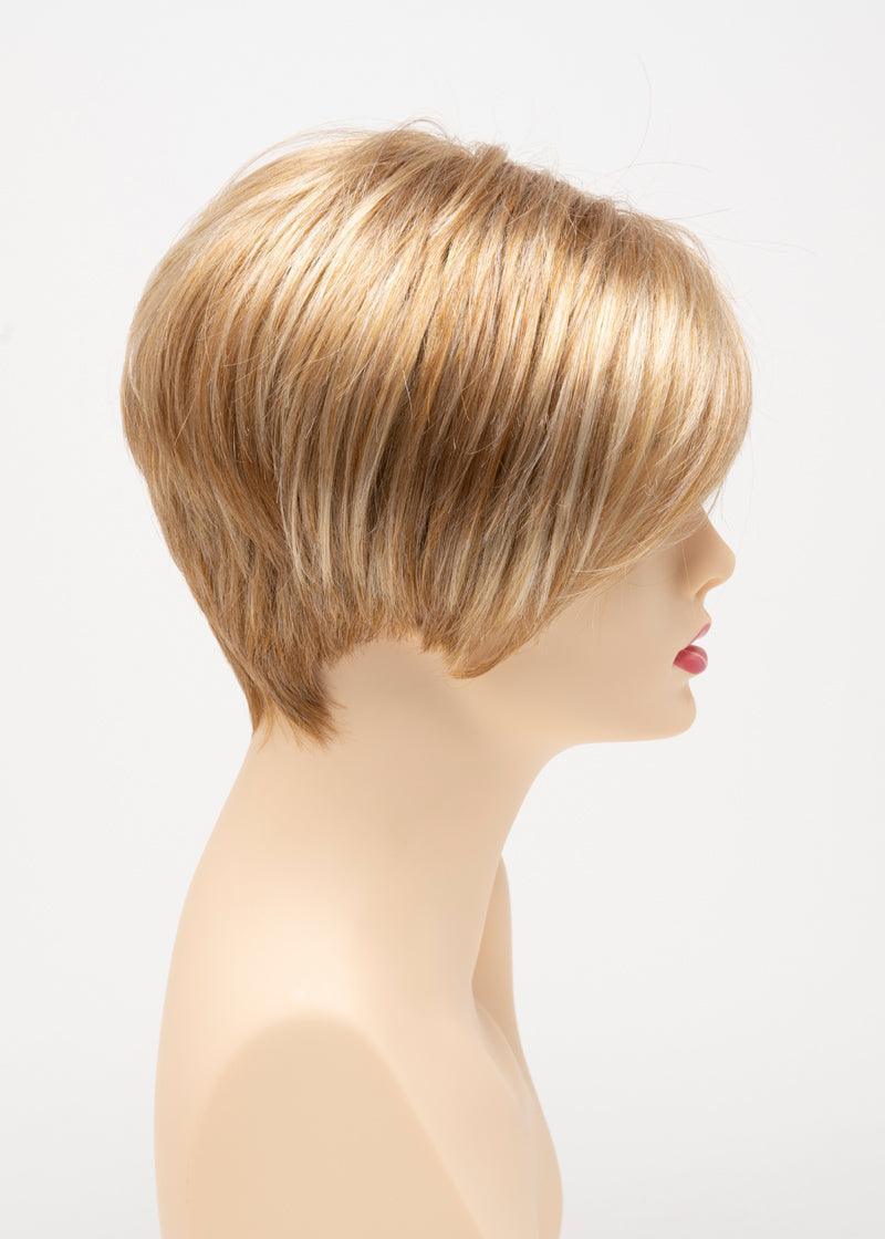 AMY | Lace Front Monofilament Part Synthetic Wig | Envy Alan Eaton - Buy Wigs USA