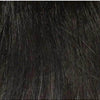 CELESTE | Large Cap | Monofilament Top | Synthetic Wig | Envy | Alan Eaton - Black