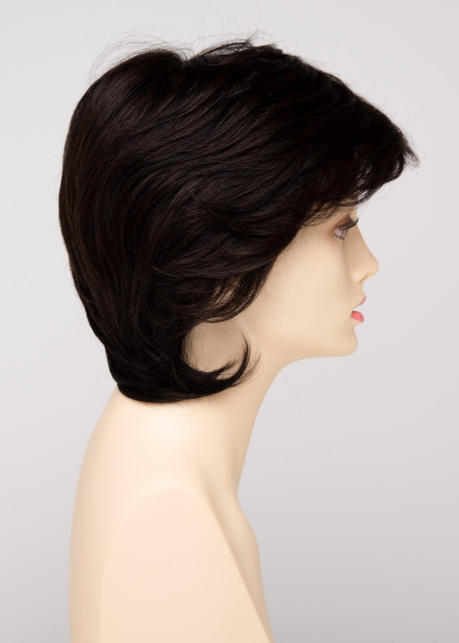 COTI | Blended Hair | Lace Front | Mono Top |Human Synthetic Blend Wig | Envy | Alan Eaton - Buy Wigs USA