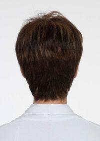 DESTINY | Human Synthetic Wig | Blended Hair | Mono Top | Lace Front | Hand-tied | Envy | Alan Eaton - Buy Wigs USA