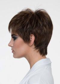 DESTINY | Human Synthetic Wig | Blended Hair | Mono Top | Lace Front | Hand-tied | Envy | Alan Eaton - Buy Wigs USA