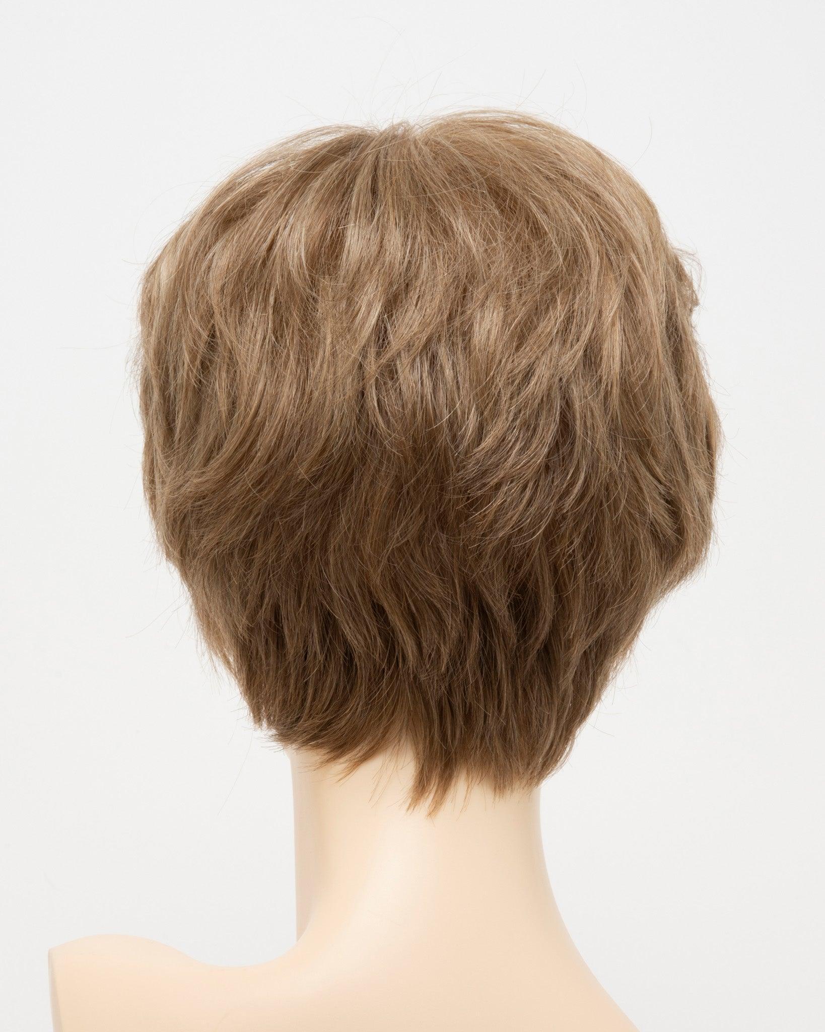 DESTINY | Human Synthetic Wig | Blended Hair | Mono Top | Lace Front | Hand-tied | Envy | Alan Eaton - Buy Wigs USA
