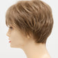 DESTINY | Human Synthetic Wig | Blended Hair | Mono Top | Lace Front | Hand-tied | Envy | Alan Eaton - Buy Wigs USA