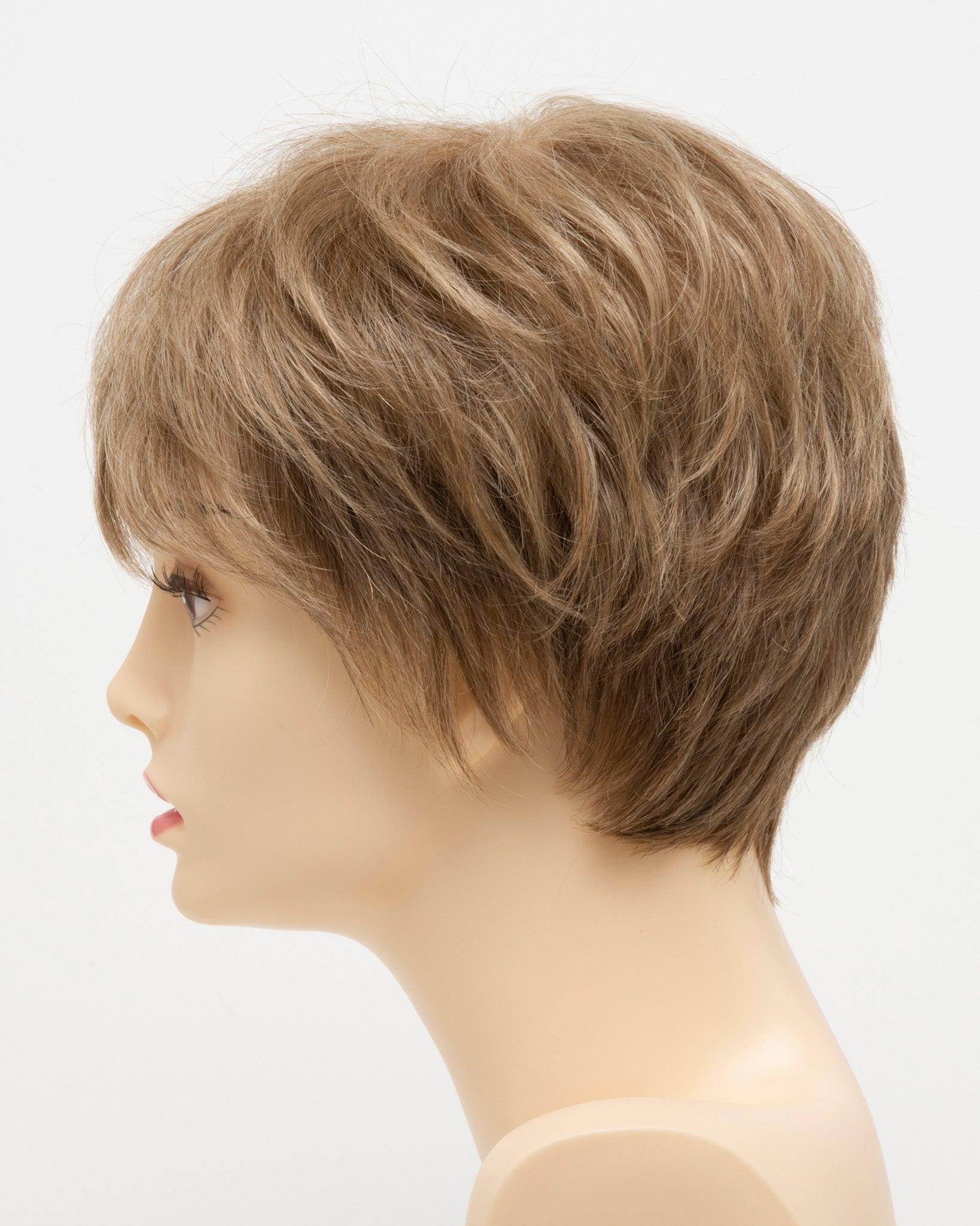 DESTINY | Human Synthetic Wig | Blended Hair | Mono Top | Lace Front | Hand-tied | Envy | Alan Eaton - Buy Wigs USA