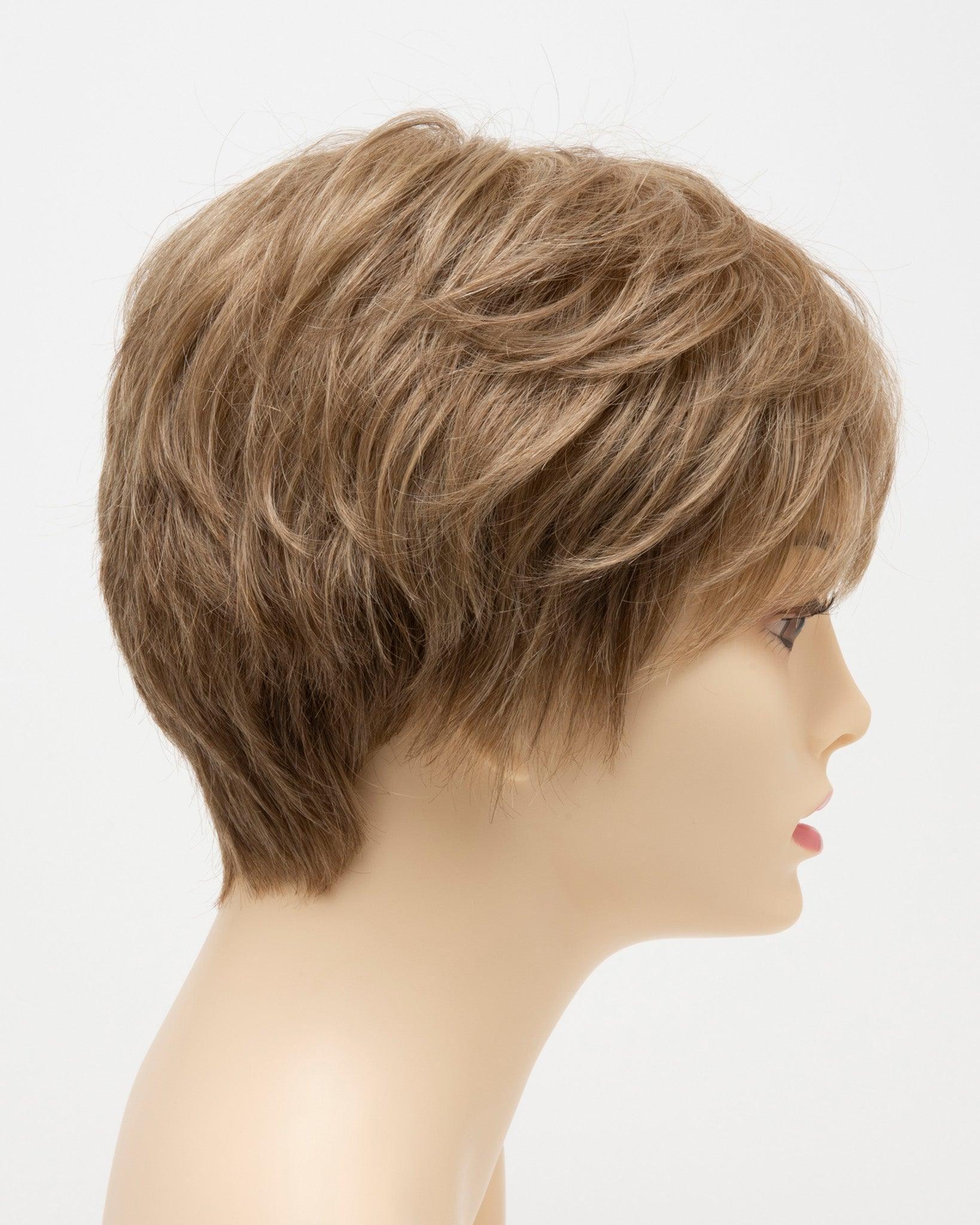 DESTINY | Human Synthetic Wig | Blended Hair | Mono Top | Lace Front | Hand-tied | Envy | Alan Eaton - Buy Wigs USA
