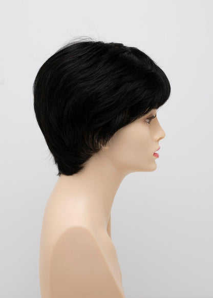 DESTINY | Human Synthetic Wig | Blended Hair | Mono Top | Lace Front | Hand-tied | Envy | Alan Eaton - Buy Wigs USA