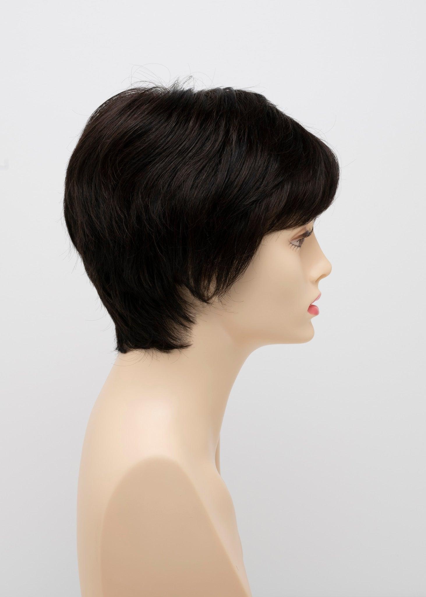 DESTINY | Human Synthetic Wig | Blended Hair | Mono Top | Lace Front | Hand-tied | Envy | Alan Eaton - Buy Wigs USA