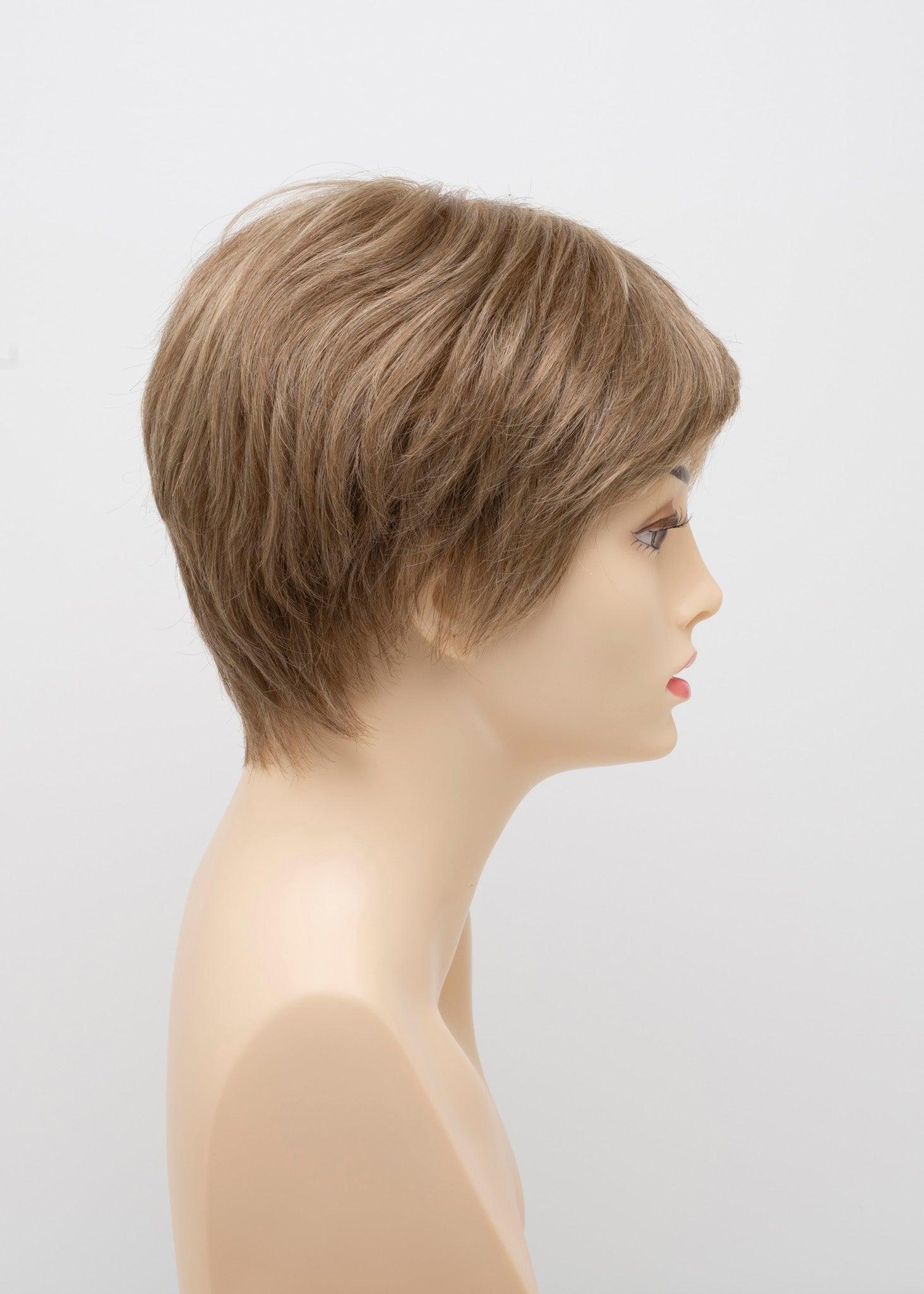 DESTINY | Human Synthetic Wig | Blended Hair | Mono Top | Lace Front | Hand-tied | Envy | Alan Eaton - Buy Wigs USA
