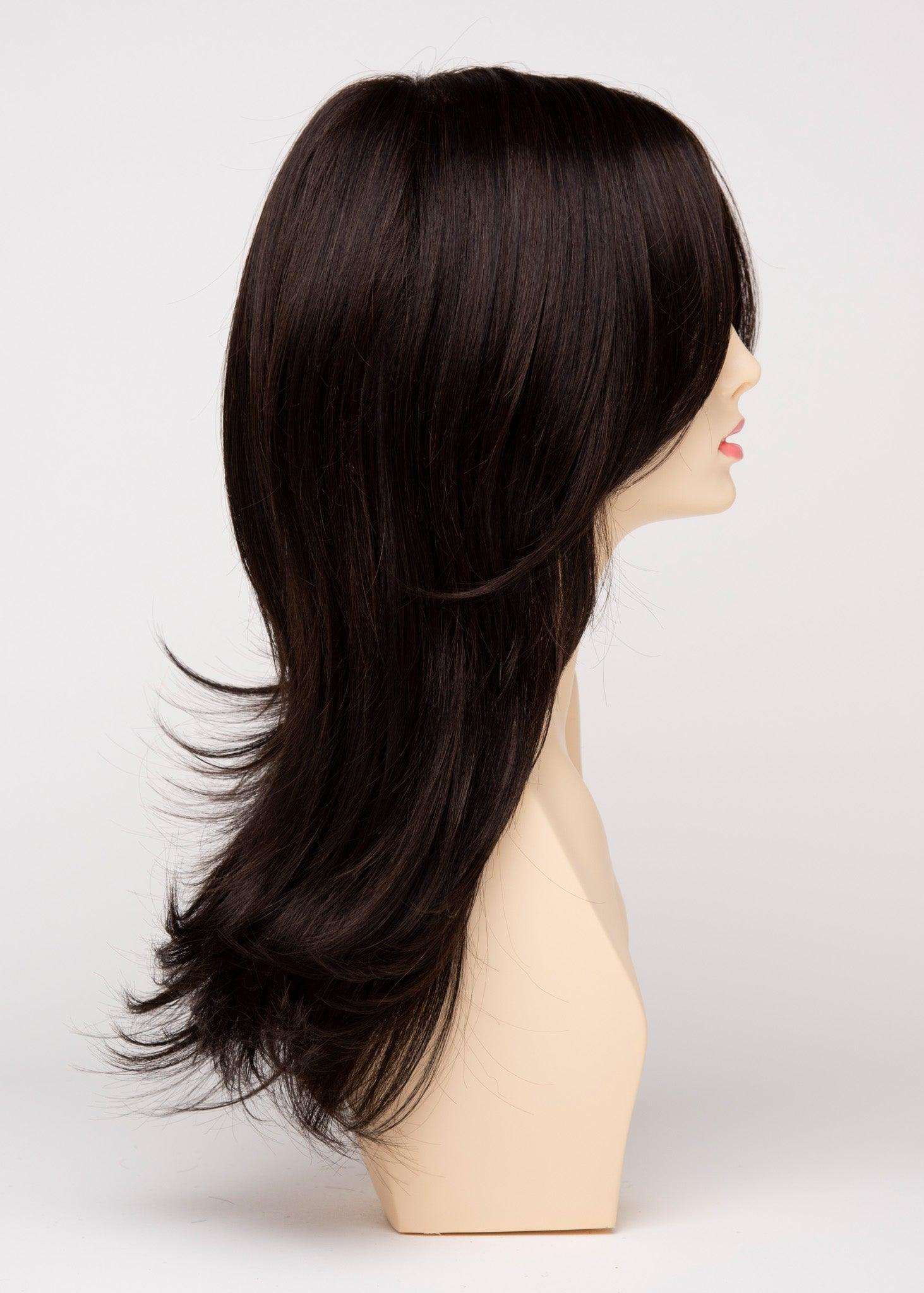 Erica | EnvyHair | Human Synthetic Blended | Lace Front | Long Wig | Envy | Alan Eaton - Buy Wigs USA