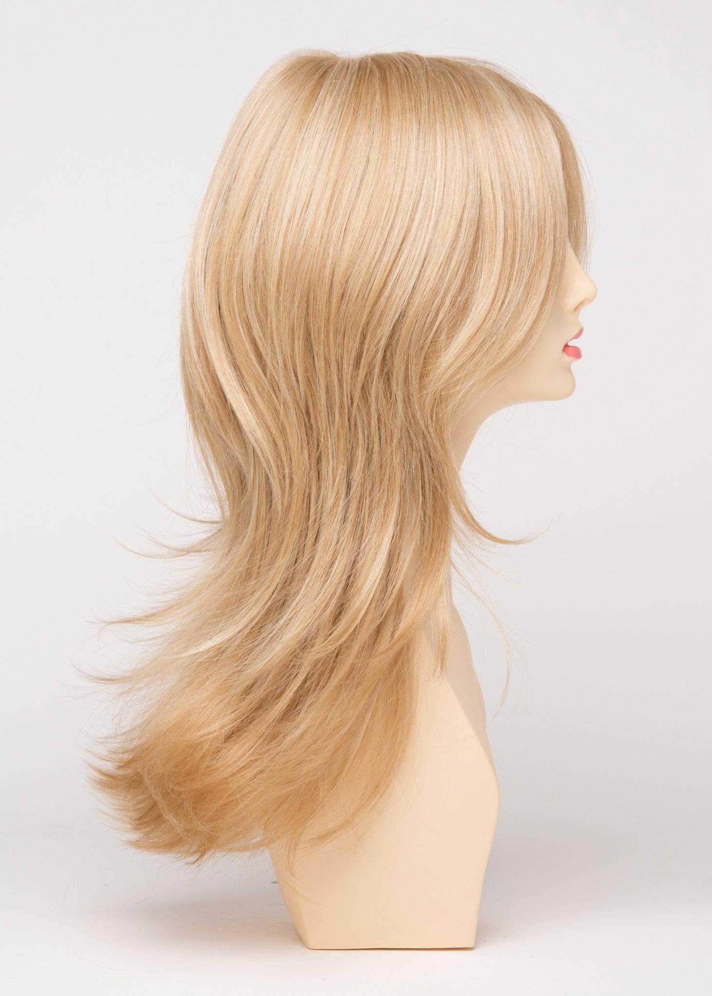 Erica | EnvyHair | Human Synthetic Blended | Lace Front | Long Wig | Envy | Alan Eaton - Buy Wigs USA