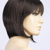 Ava | Lace Front Mono Part Synthetic Wig by Ellen Wille | Petite Average | Natural Hairline - DARK-BROWN-MIX